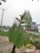 白雀专业上门疏通下水道 开锁换锁 钻孔拆墙